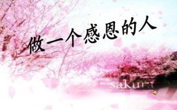 我感恩你作文600字最新7篇
