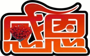 感恩老师心得体会600字7篇