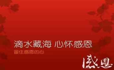 我感恩你作文500字推荐6篇