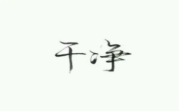 干净与担当心得体会8篇
