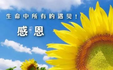 感谢演讲稿优质7篇