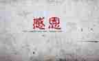 感谢父亲作文5篇