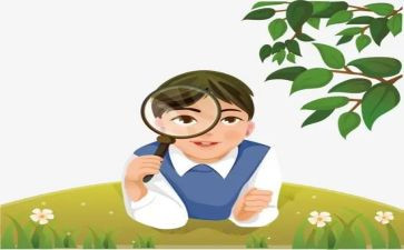 小学观察教案5篇