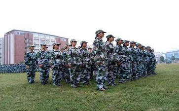 观训心得体会300字优秀5篇