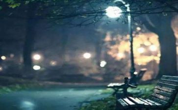 孤独的狼作文优质5篇