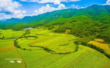 国土所心得体会5篇