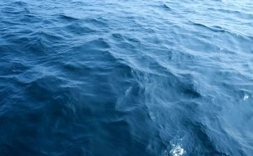 海读年会心得体会优秀7篇