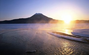 上海劳动合同8篇