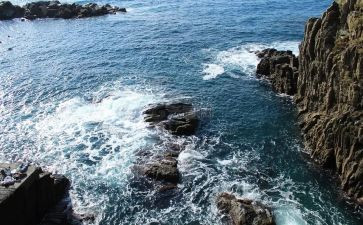 游海门莲花峰作文5篇