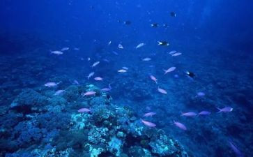 海底两万里的读后感100字6篇
