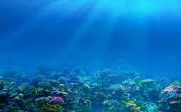 海底两万里的心得体会通用5篇