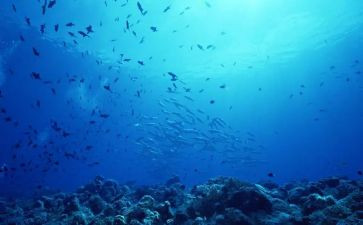 海底两万里学生读书心得7篇