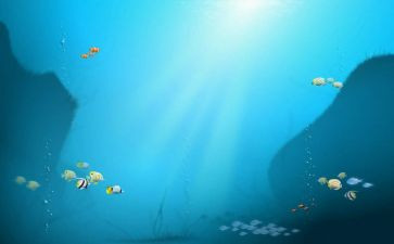 海海底两万里心得体会最新8篇