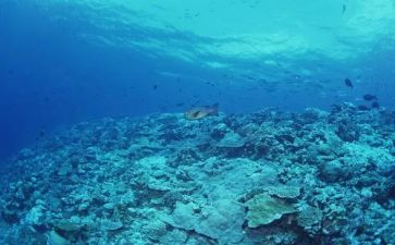海底两万里400字读后感6篇