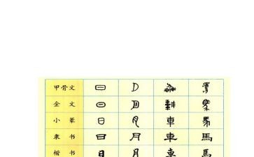 我们的汉字读后感7篇