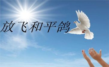 为了和平心得8篇
