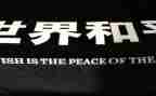战争与和平作文800字5篇
