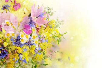 《迎春花》教案反思6篇