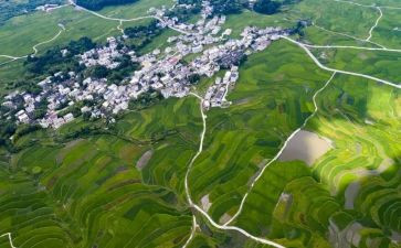 描写环境的作文600字模板7篇