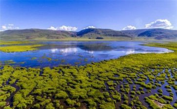 描写环境的作文600字6篇