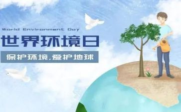局环境日活动总结优秀8篇