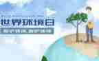 局环境日活动总结优秀8篇