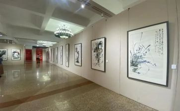 画展领导讲话稿5篇