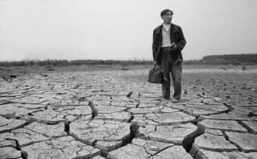 《野性的呼唤》英文读后感8篇