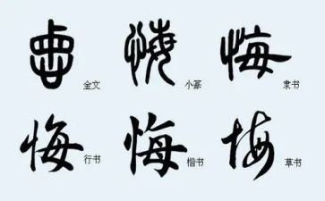 罪与悔观后感心得体会优质7篇