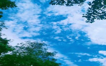 回忆类的作文800字7篇