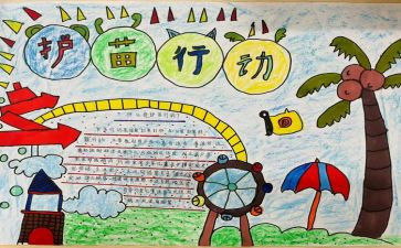 护苗行动心得体会7篇