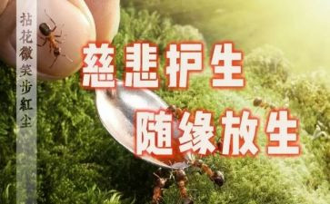 关于保护生态环境的心得体会7篇