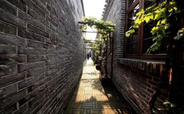 老北京胡同的作文8篇