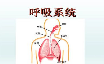 去呼吸科实习心得体会7篇