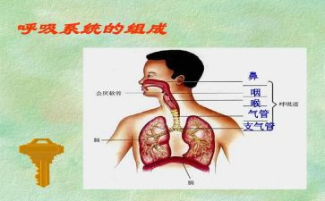呼吸操心得体会8篇