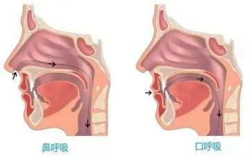 观呼吸心得体会6篇