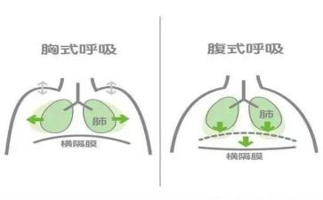 2024年呼吸内科工作计划8篇