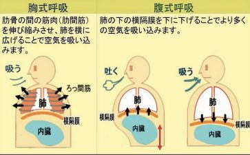 为了呼吸的教育心得体会6篇