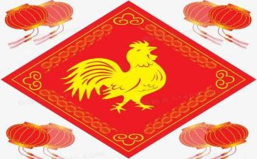 护鸡蛋的作文500字优质6篇