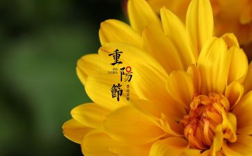 中秋佳佳节的作文8篇
