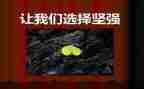 作文我变得坚强作文优质6篇