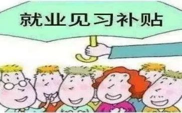 学生见习的心得体会6篇