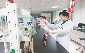 检验工作计划最新8篇
