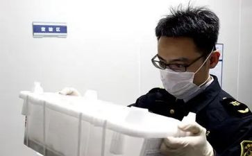 2024年动物检疫员工作总结7篇