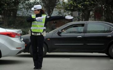 交警个人总结和工作总结5篇