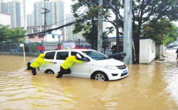 交警2024年个人总结7篇