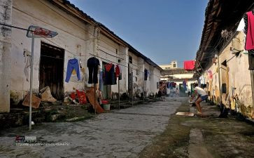 阿勒泰的角落读后感5篇