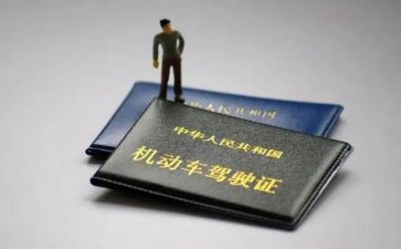 驾照扣12学习心得体会8篇