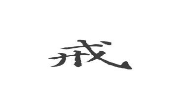 以案为戒个人心得体会模板6篇
