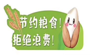 青春节粮心得体会优秀8篇